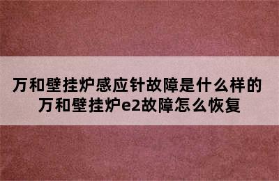 万和壁挂炉感应针故障是什么样的 万和壁挂炉e2故障怎么恢复